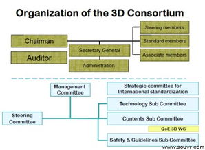 日本3D信息技術(shù)研發(fā)現(xiàn)狀及未來市場展望